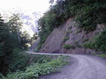 妙高小谷林道