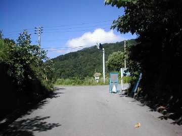 妙高小谷林道