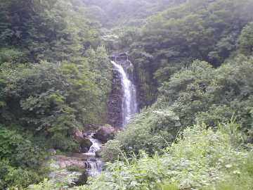 南葉林道