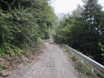 五開茂倉林道