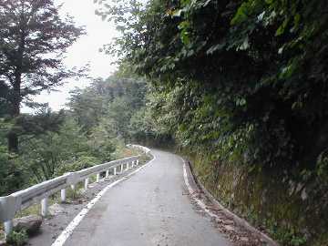 五開茂倉林道
