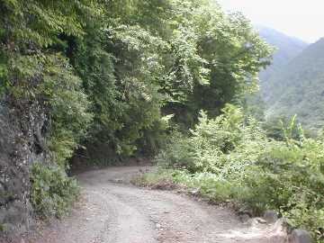 五開茂倉林道