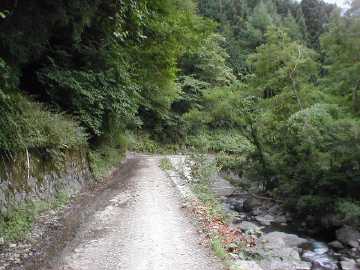 五開茂倉林道
