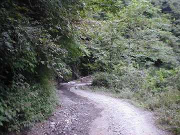 五開茂倉林道