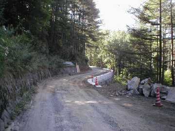 日川焼山沢真木林道