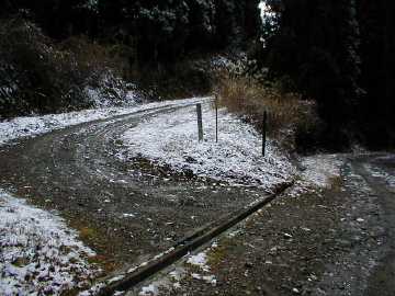 万望林道・天狗松林道