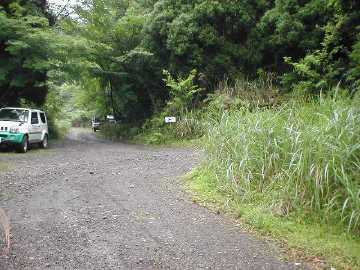 段塔林道