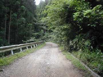 剣抜大洞林道