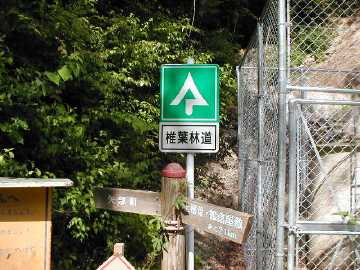 内大臣椎葉林道