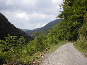 内大臣椎葉林道