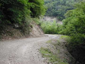 内大臣椎葉林道
