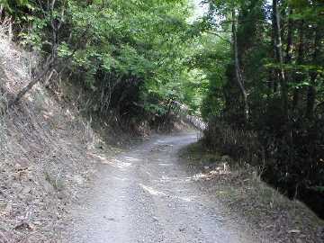 内大臣椎葉林道