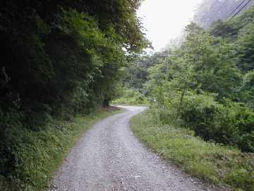 内大臣椎葉林道