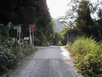 内大臣椎葉林道