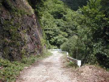 奈良子林道