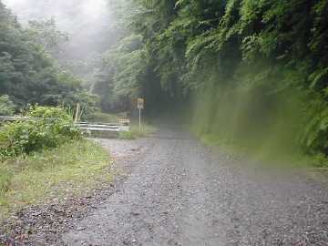 津ヶ尾林道