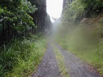 津ヶ尾林道