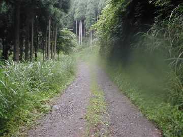 津ヶ尾林道