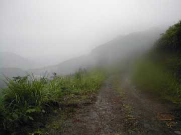 津ヶ尾林道