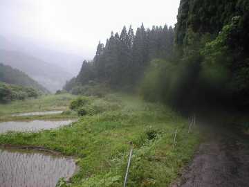 津ヶ尾林道