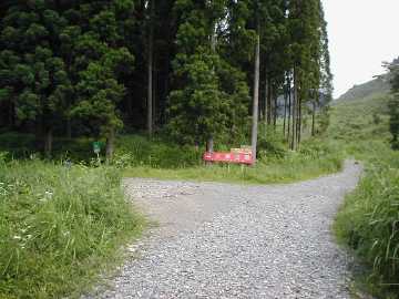 矢岳林道