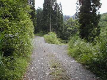 矢岳林道
