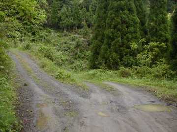 烏帽子岳林道