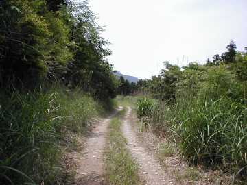 温迫峠林道