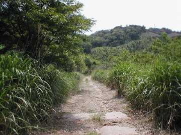 温迫峠林道