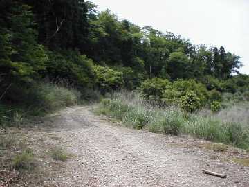 温迫峠林道