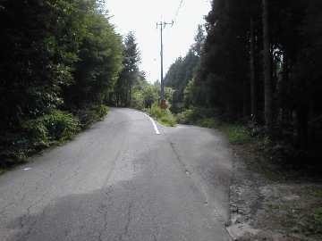 椹尾分水林道