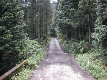 雁峰林道