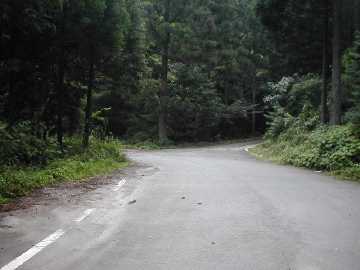 雁峰林道