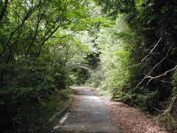 雁峰林道
