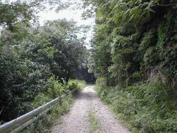雁峰林道