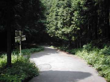 雁峰林道