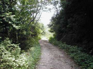 雁峰林道
