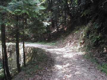 雁峰林道