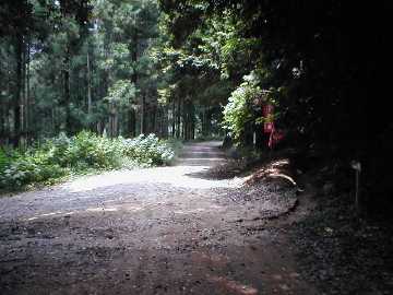 雁峰林道