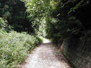 雁峰林道