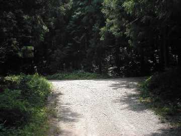 雁峰林道