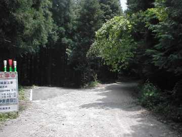 雁峰林道