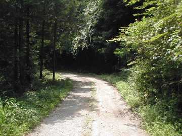 雁峰林道