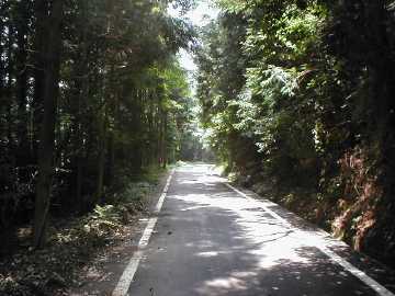 雁峰林道