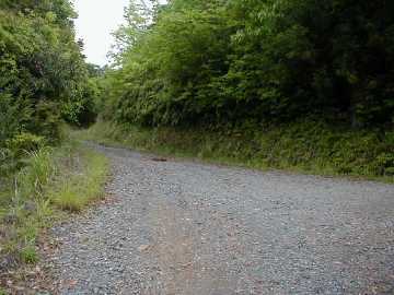 鹿猪谷中山林道