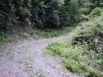 川内林道
