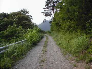 小原井財木林道