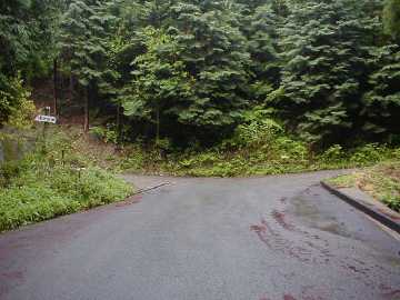 黒岩林道