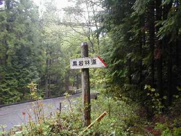 黒岩林道