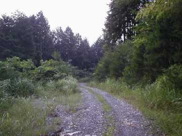 馬小屋林道